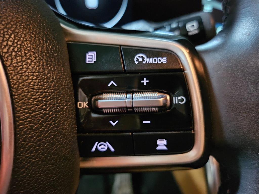 KIA Carnival - Vista 10