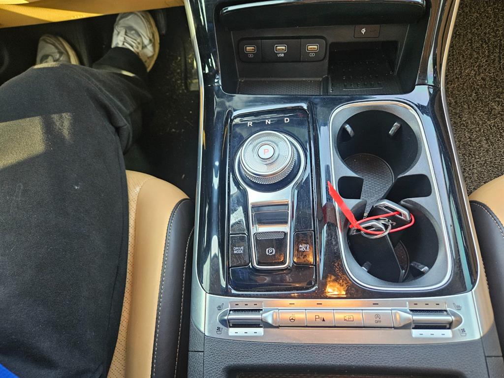 KIA Carnival - Vista 8