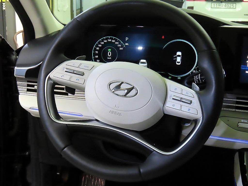 HYUNDAI Grandeur - Vista 12