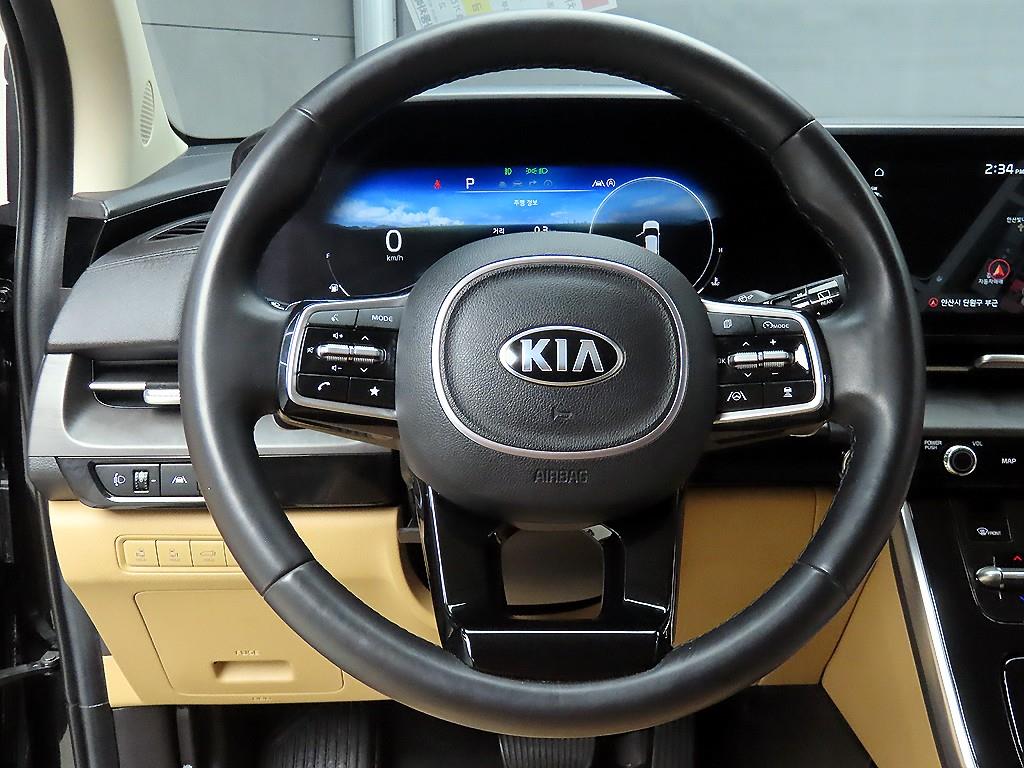 KIA Carnival - Vista 9