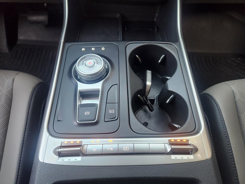 KIA Carnival - Vista 12