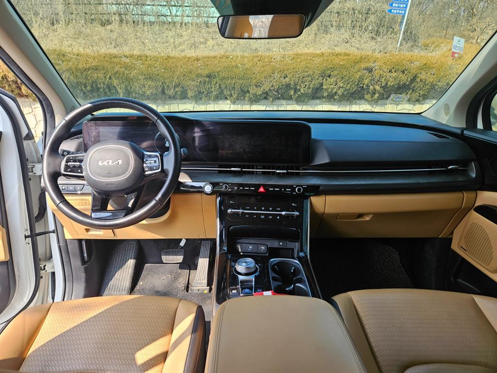 KIA Carnival - Vista 6