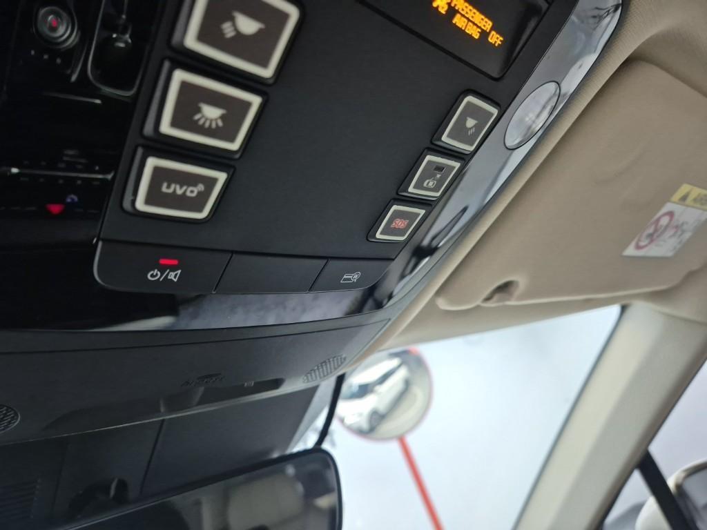 KIA Carnival - Vista 12