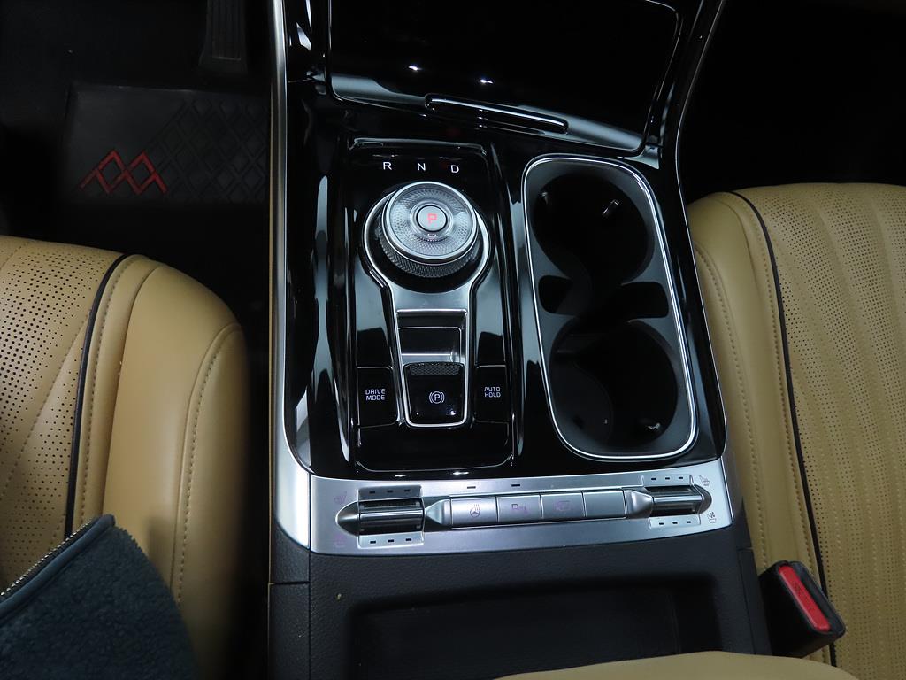 KIA Carnival - Vista 11