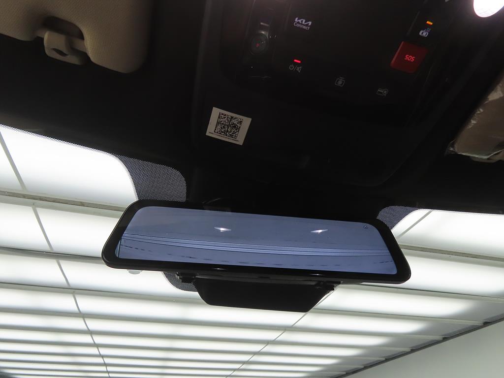 KIA Carnival - Vista 12