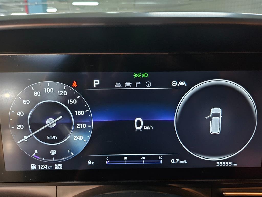 KIA Carnival - Vista 8