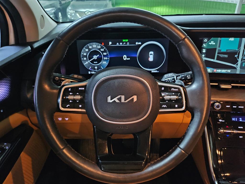 KIA Carnival - Vista 9