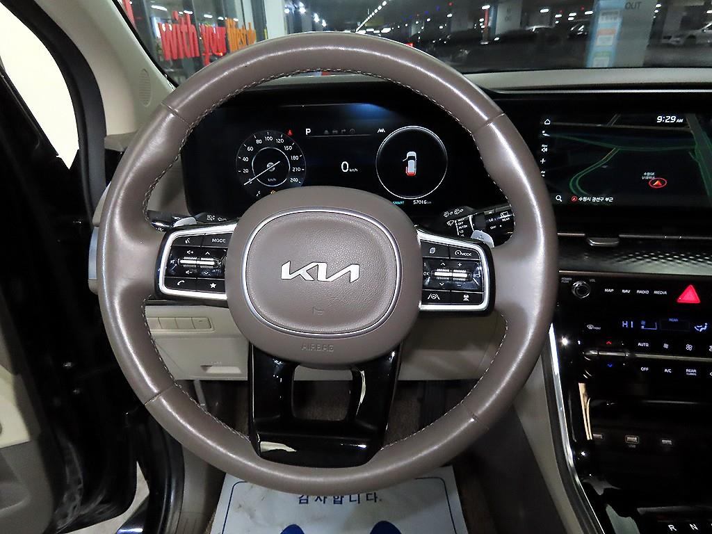 KIA Carnival - Vista 8