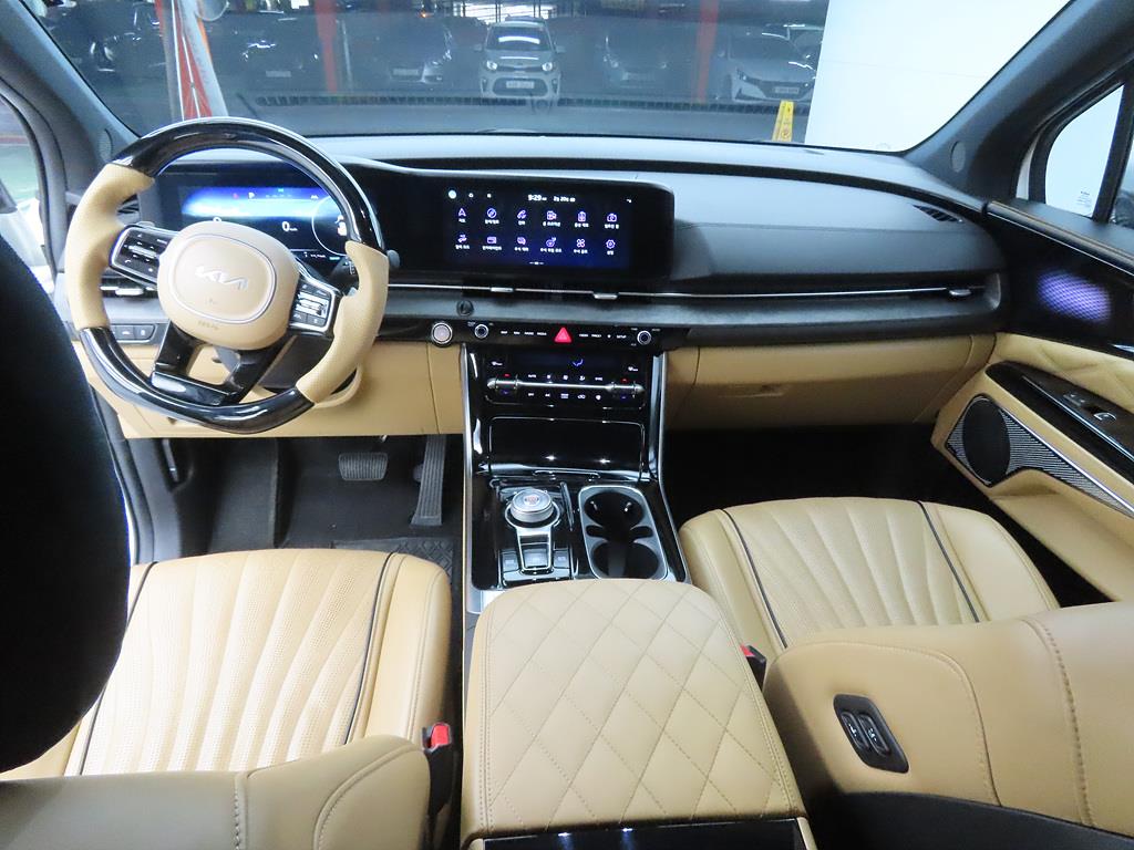 KIA Carnival - Vista 8