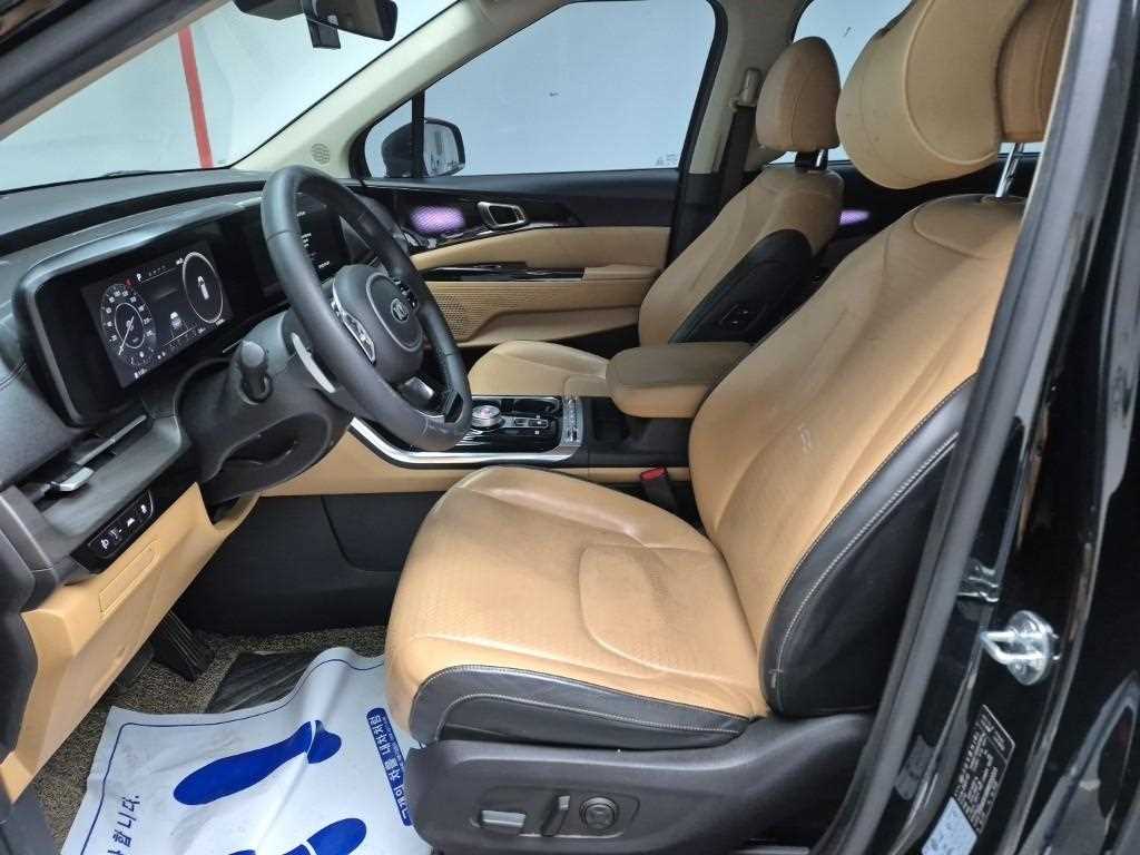 KIA Carnival - Vista 11