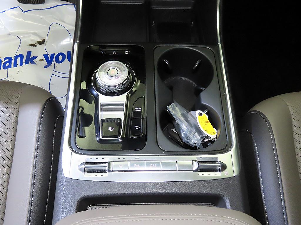 KIA Carnival - Vista 12