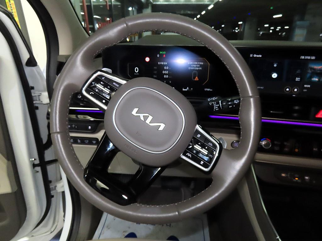 KIA Carnival - Vista 8