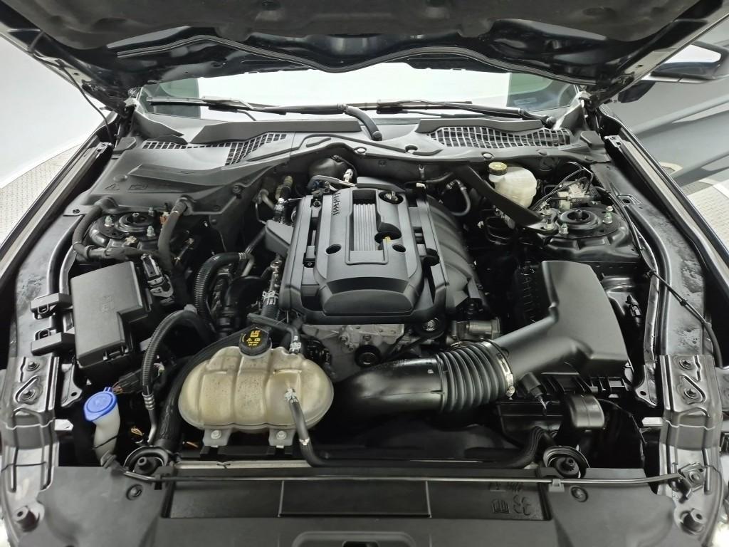 Ford Mustang - Vista 5