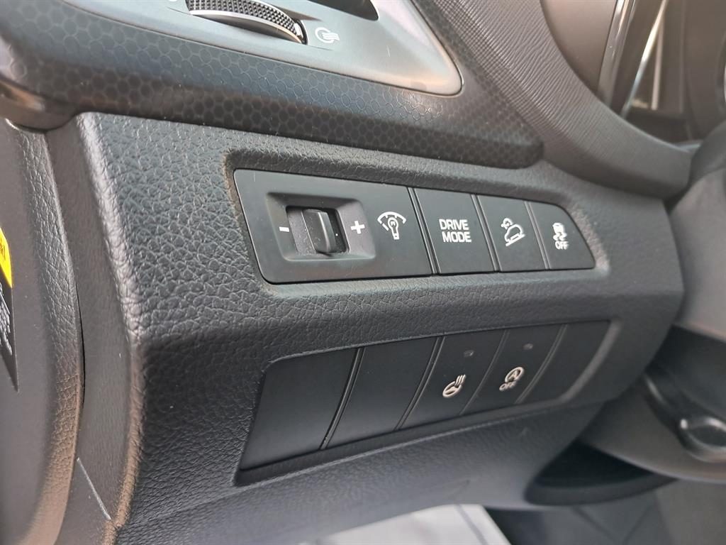 HYUNDAI Santa Fe - Vista 12