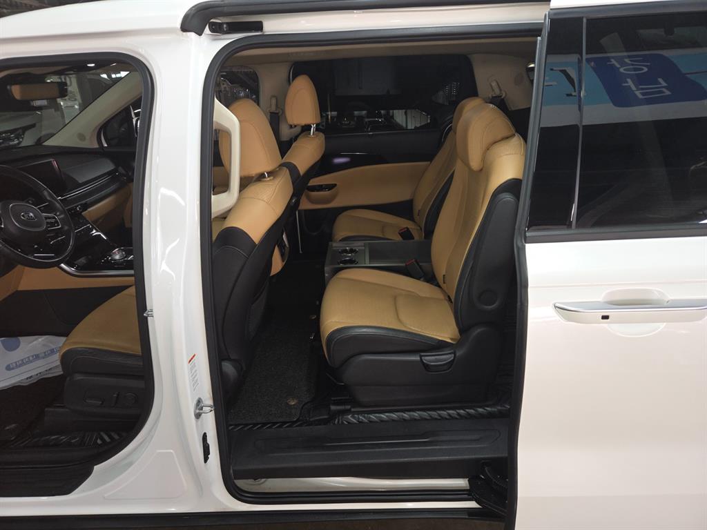 KIA Carnival - Vista 8