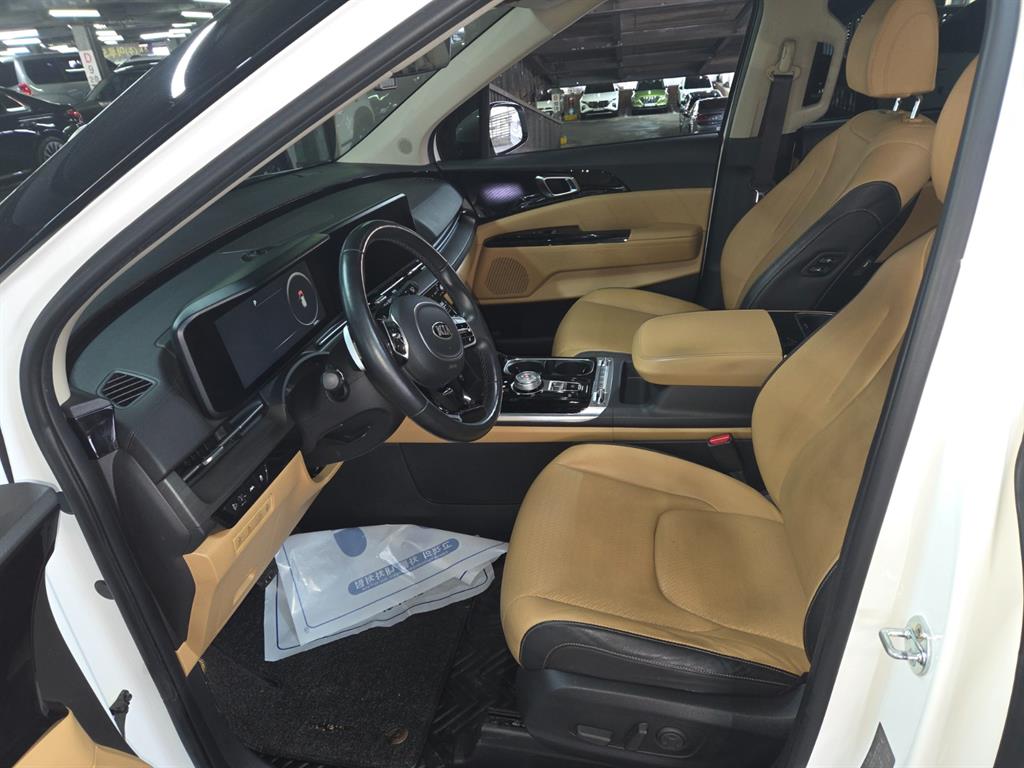 KIA Carnival - Vista 10