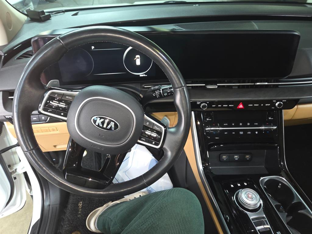 KIA Carnival - Vista 11