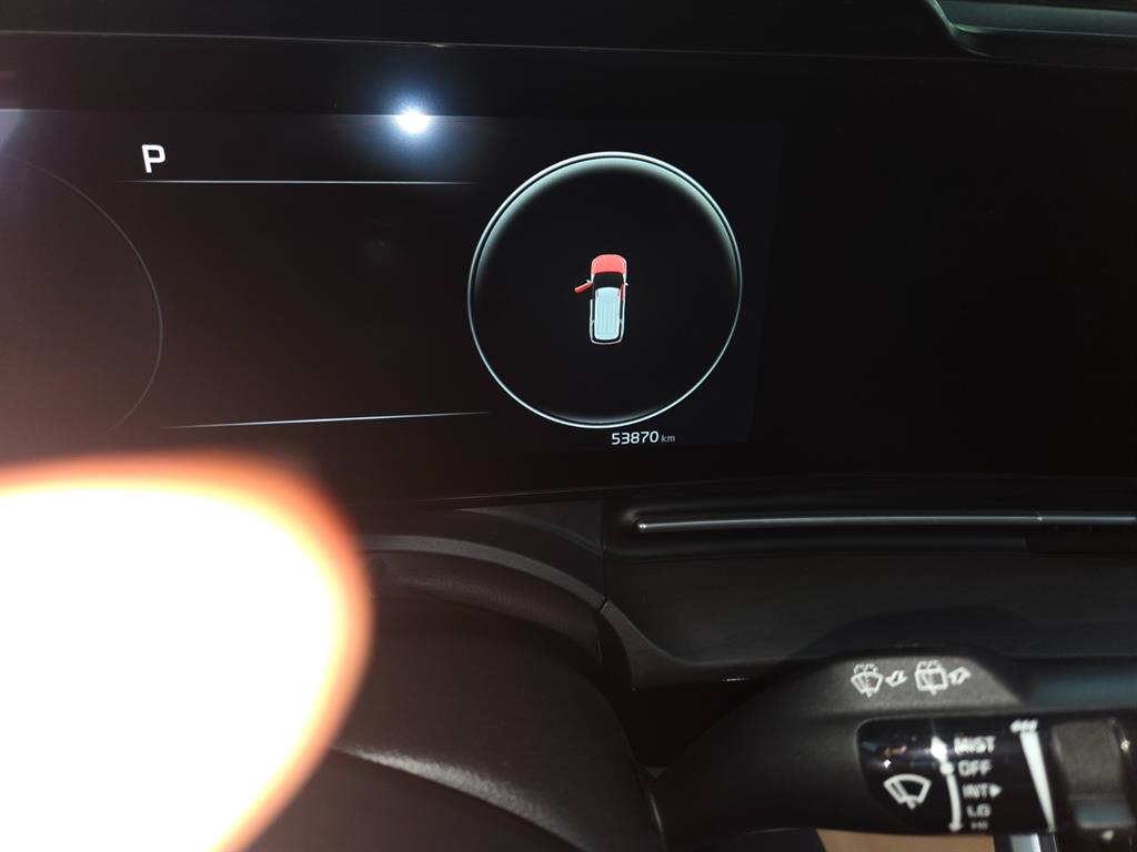 KIA Carnival - Vista 12