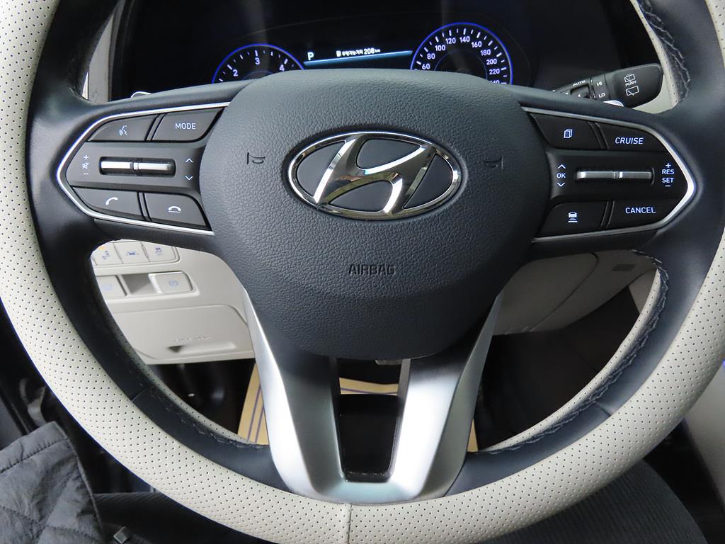 HYUNDAI Palisade - Vista 11