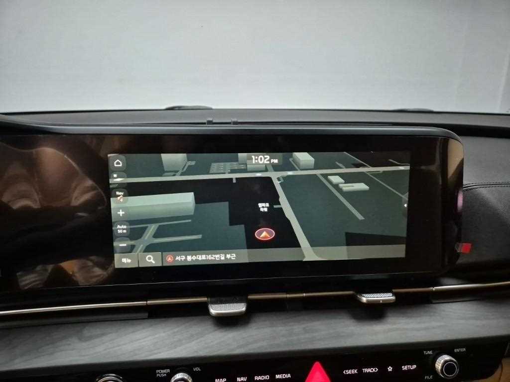 KIA Carnival - Vista 12