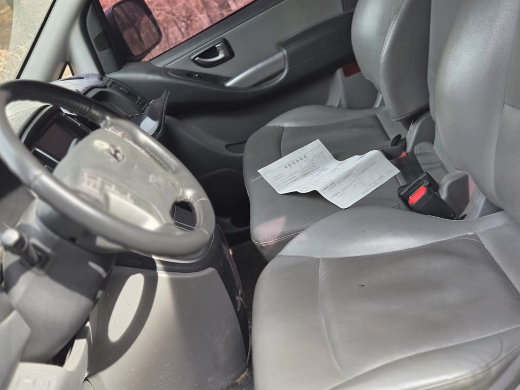 HYUNDAI Starex - Vista 5