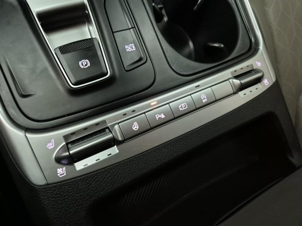 KIA Carnival - Vista 12