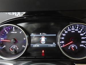 KIA Carnival - Vista 12