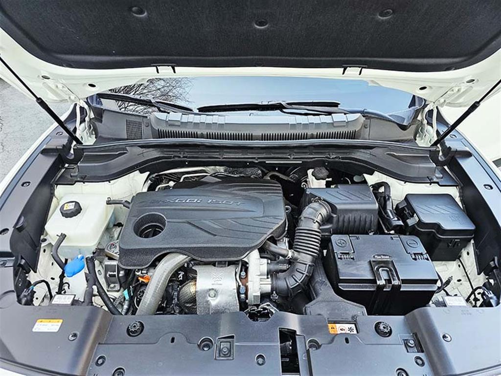 Ssangyong Torres - Vista 5