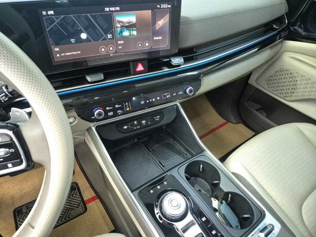 KIA Carnival - Vista 10