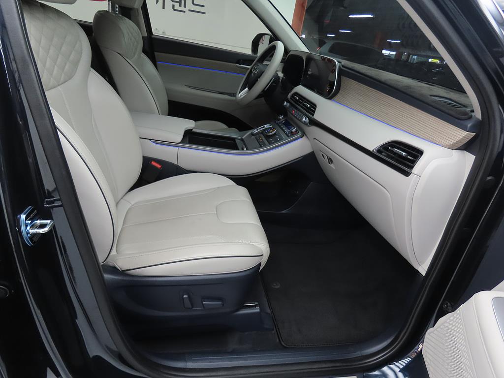 HYUNDAI Palisade - Vista 8