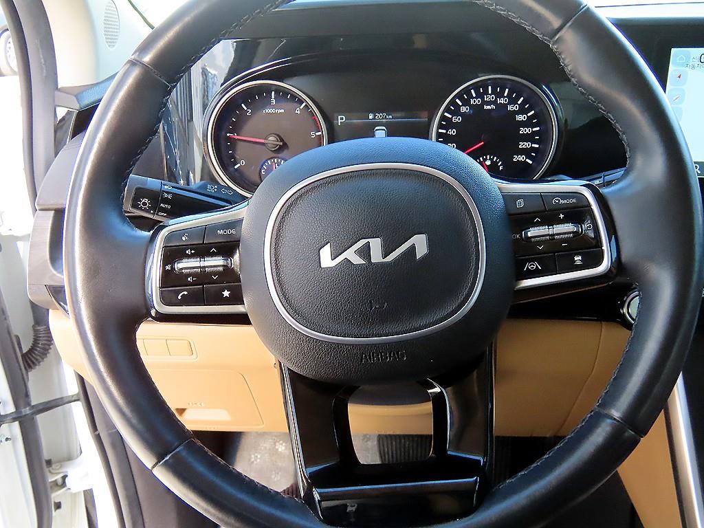 KIA Carnival - Vista 9