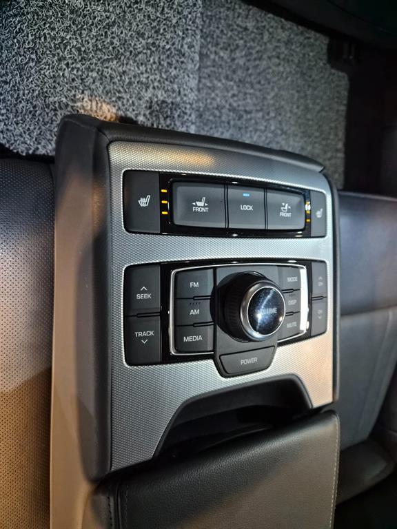 Genesis G80 - Vista 12