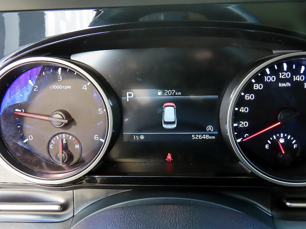 KIA Carnival - Vista 10