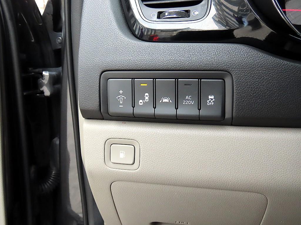 KIA Carnival - Vista 12