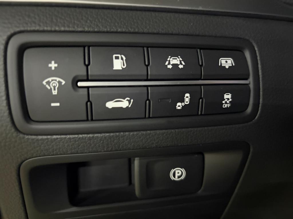 Genesis G80 - Vista 12