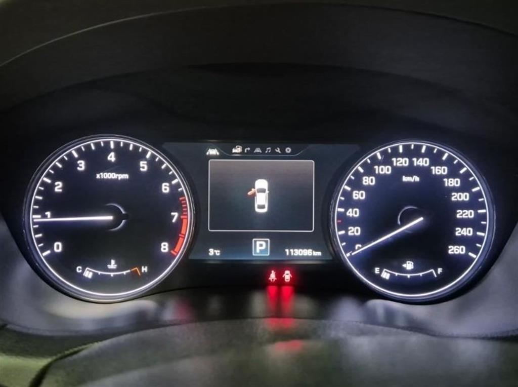 HYUNDAI Genesis - Vista 6