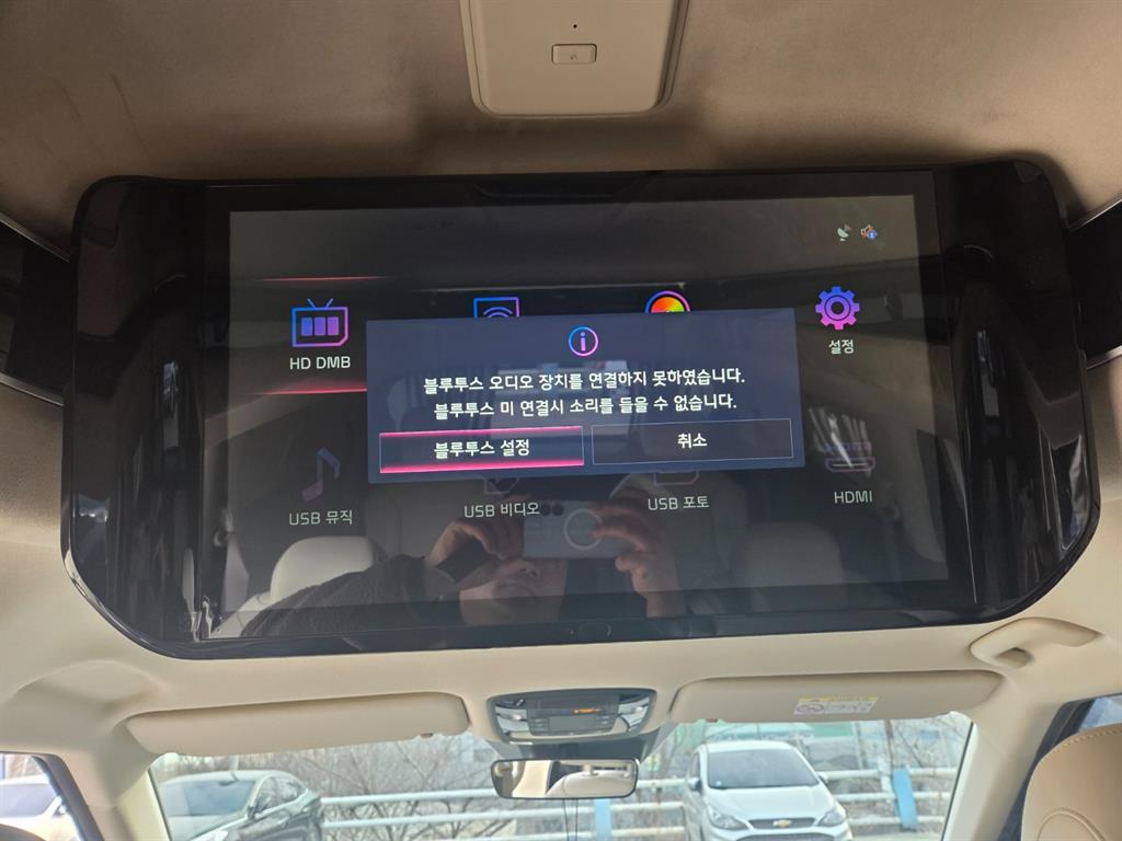 KIA Carnival - Vista 12