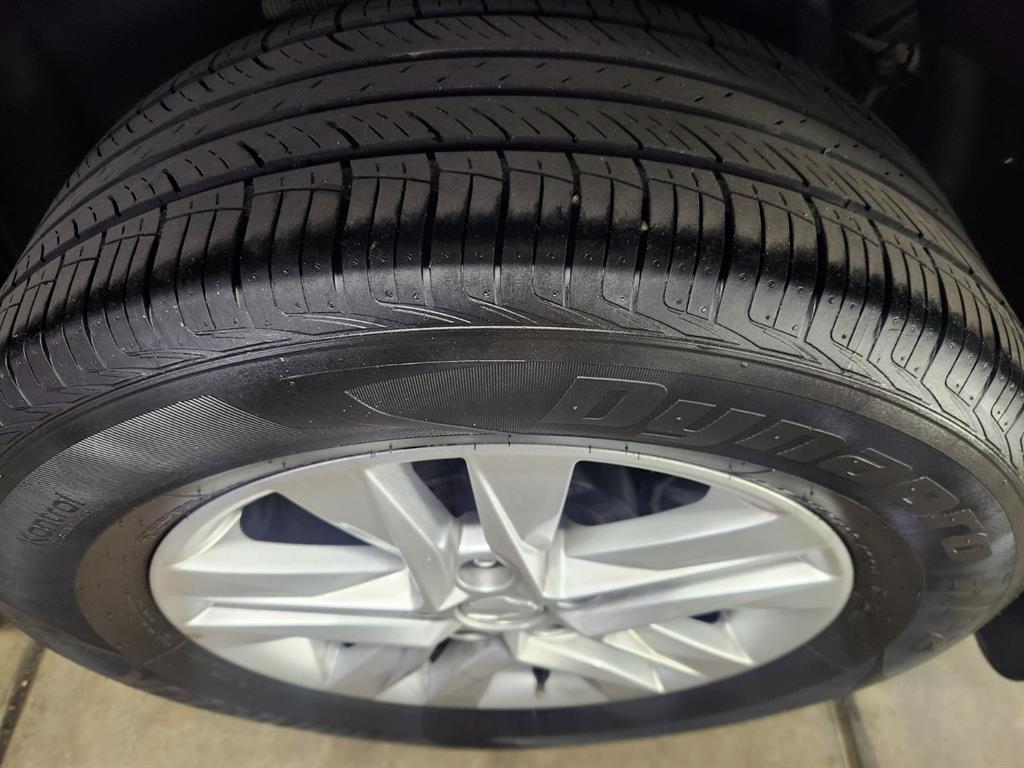 Ssangyong Rexton - Vista 6