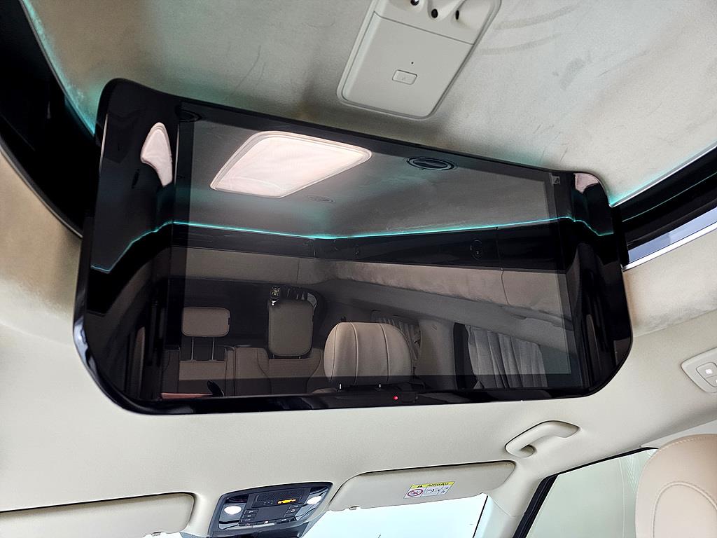 KIA Carnival - Vista 12