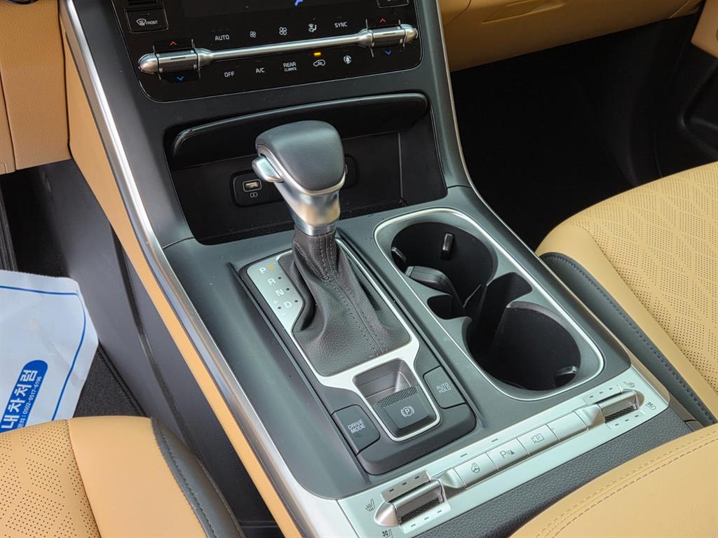 KIA Carnival - Vista 9