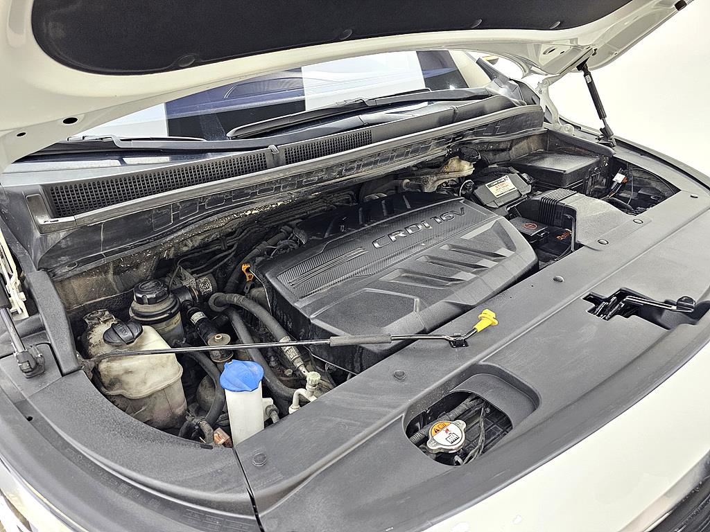 KIA Carnival - Vista 6