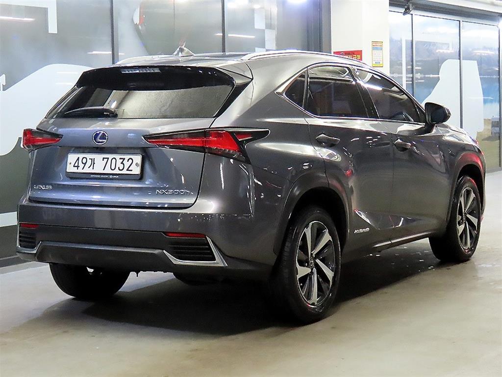 Lexus NX - Vista 4