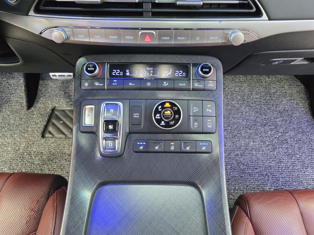 HYUNDAI Palisade - Vista 10