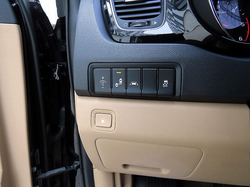KIA Carnival - Vista 12