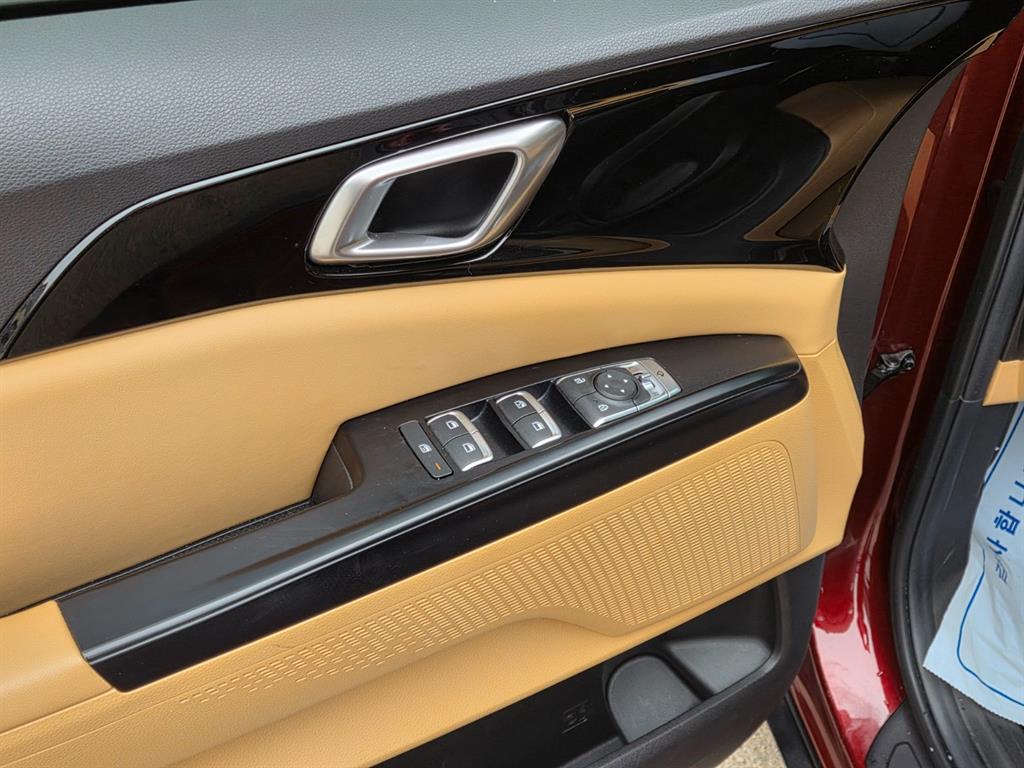 KIA Carnival - Vista 12