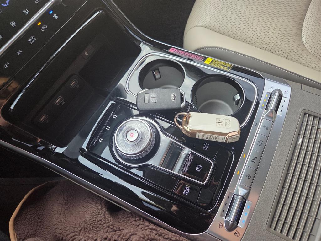 KIA Carnival - Vista 11