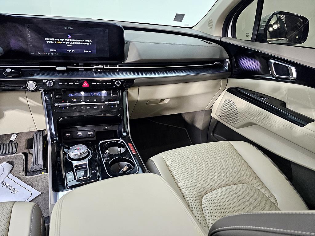 KIA Carnival - Vista 10