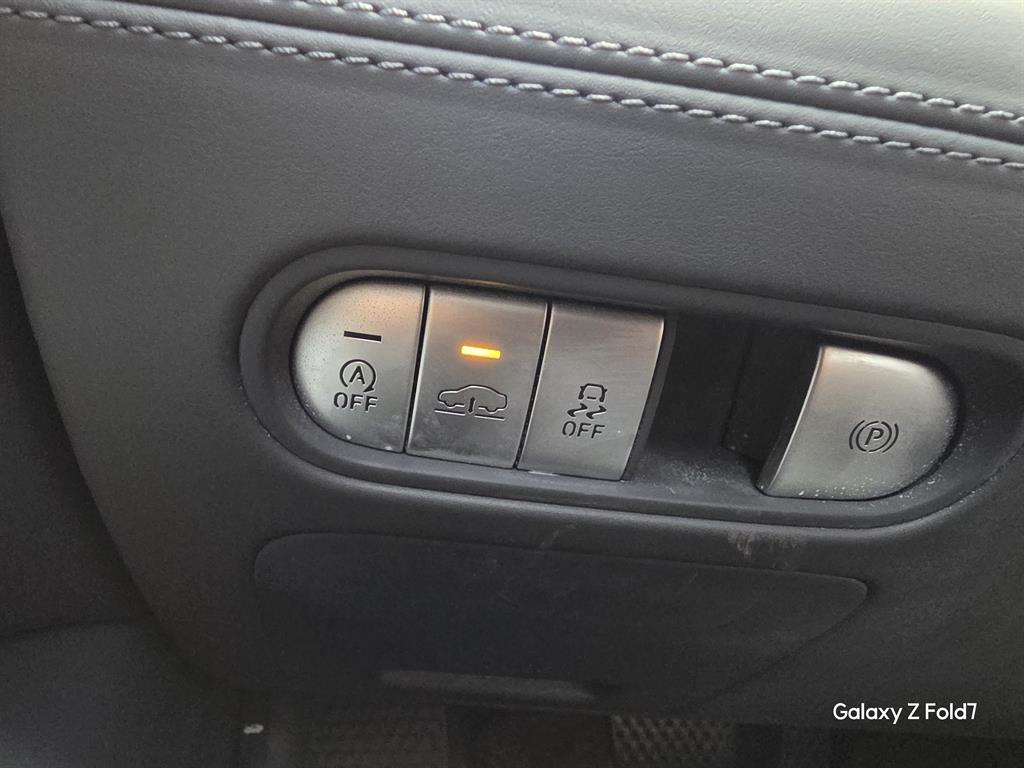 Genesis G90 - Vista 12