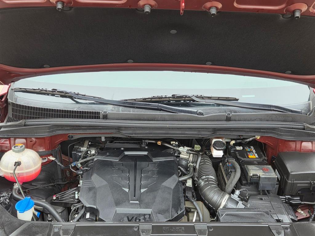 KIA Carnival - Vista 6