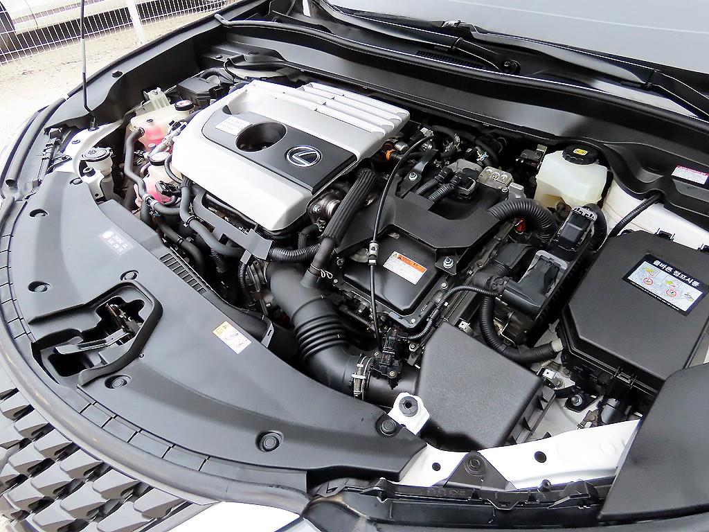 Lexus UX 2019 Blanco - Importación desde Corea - HF Imports Iquique - Foto 19